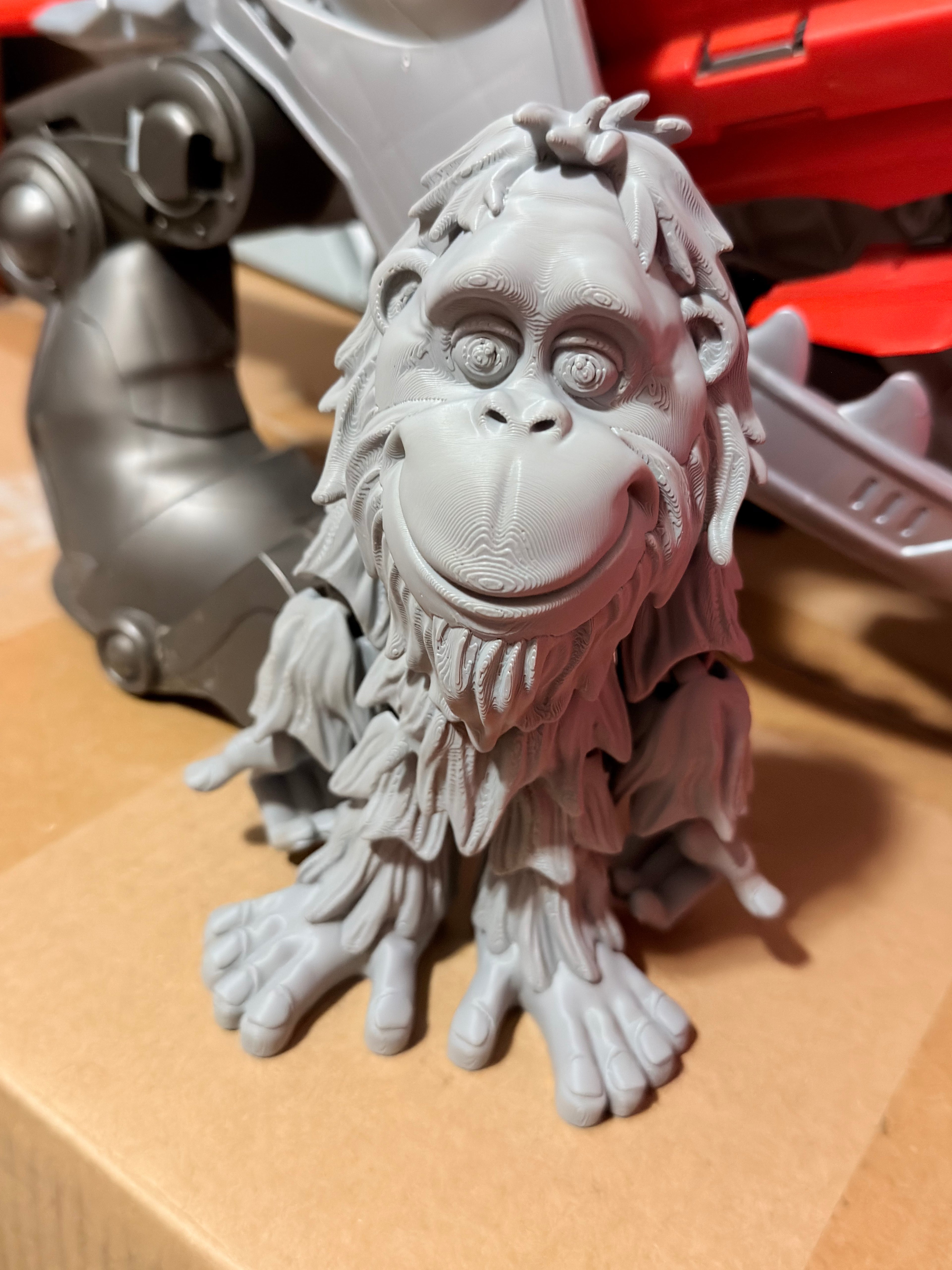 Ozzie the orangutan